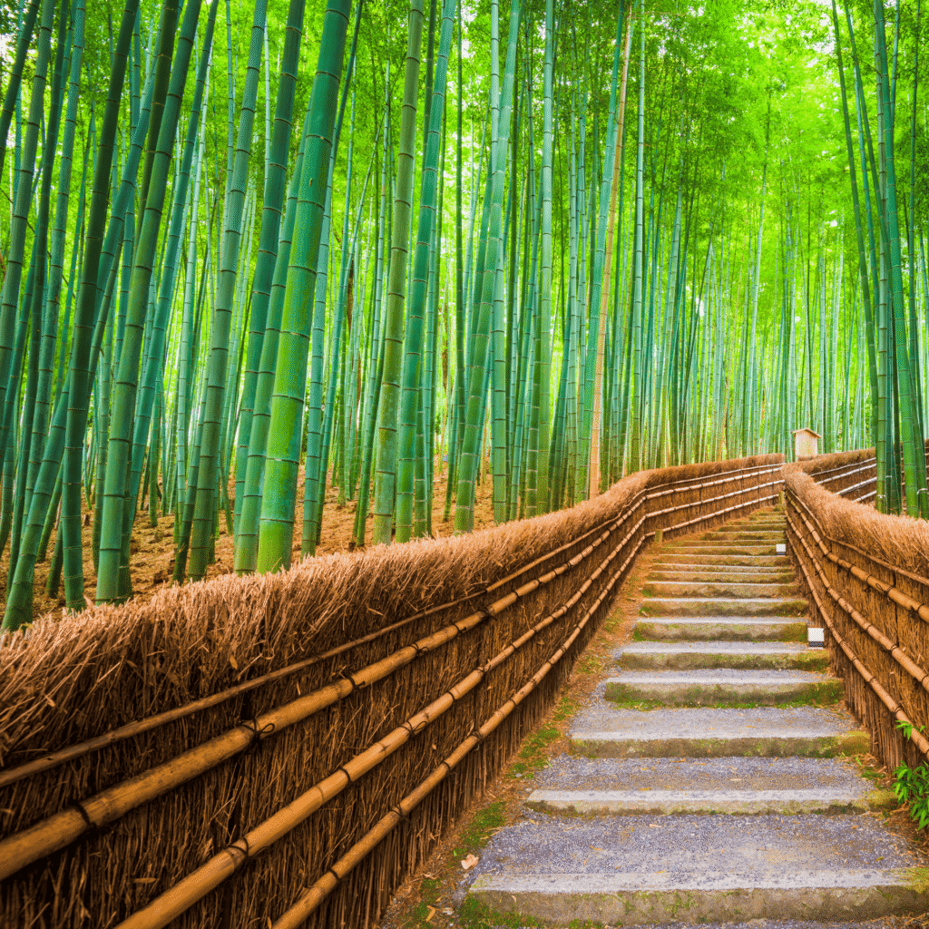 Japan STEM Trip
