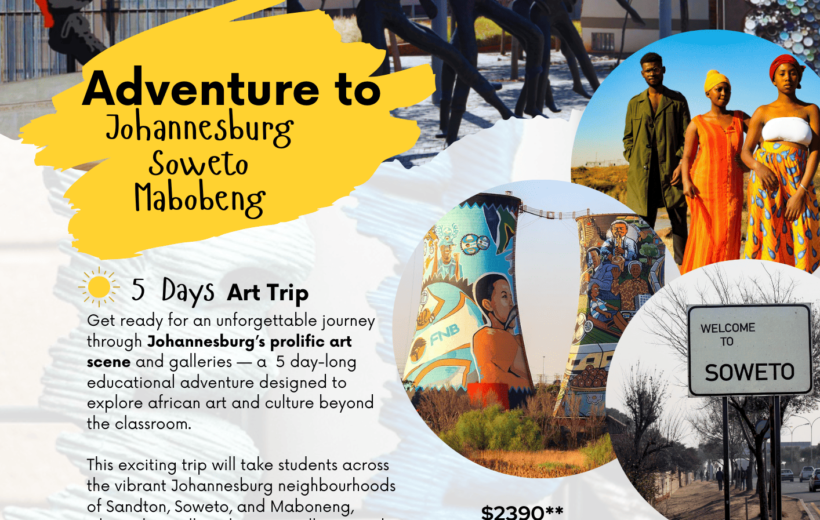 Art Trip adventure in Johannesburg