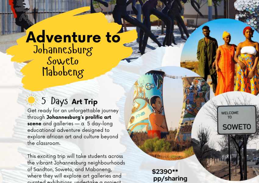 Art Trip to Johannesburg