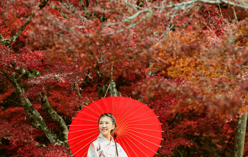 Discovery STEM Trip to Japan