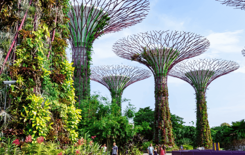Exciting STEM trip to Singapore