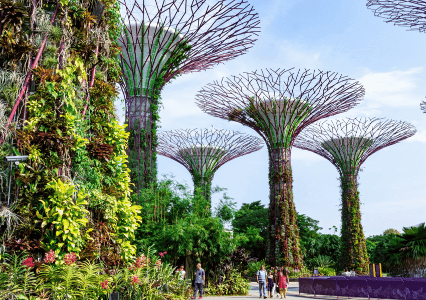 STEM Trip to Singapore